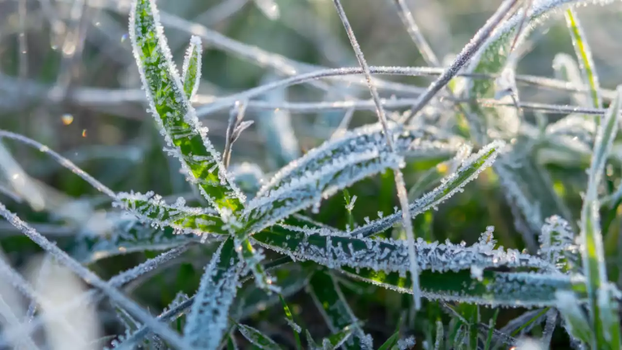 «-2°C дейін аяз күтіледі»: 4 қыркүйекке арналған ауа райы болжамы