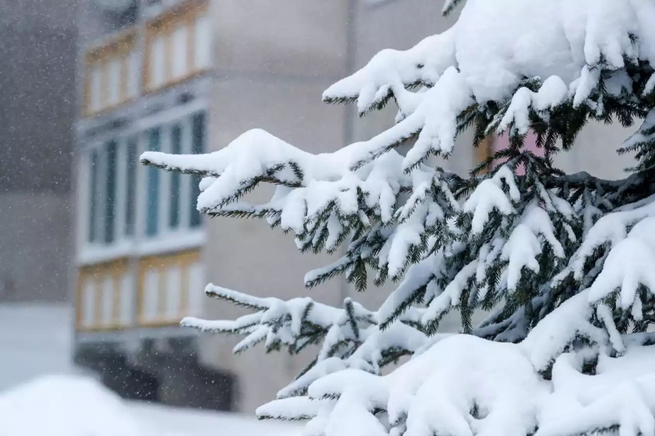 «-40 градусқа дейін аяз»: алдағы күндері күн суытады