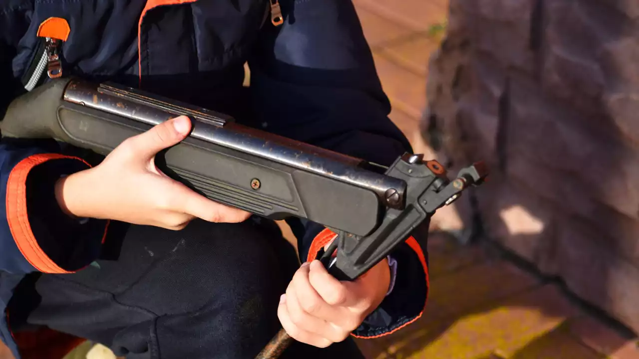 Жамбыл облысында аңға шыққан 12 жастағы жасөспірім сыныптасын атып тастады