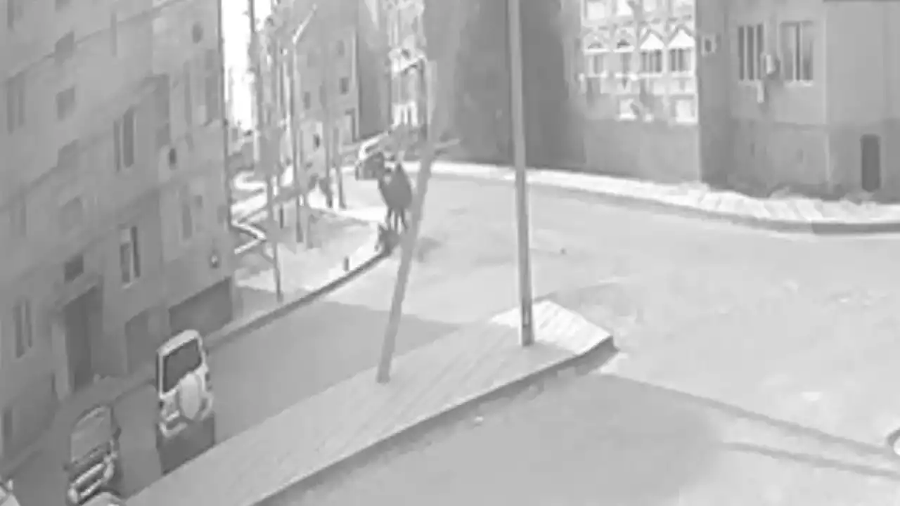 Атырау облысында көшеде байлаулы тұрған түйе жасөспірімге  шабуыл жасады (ВИДЕО)