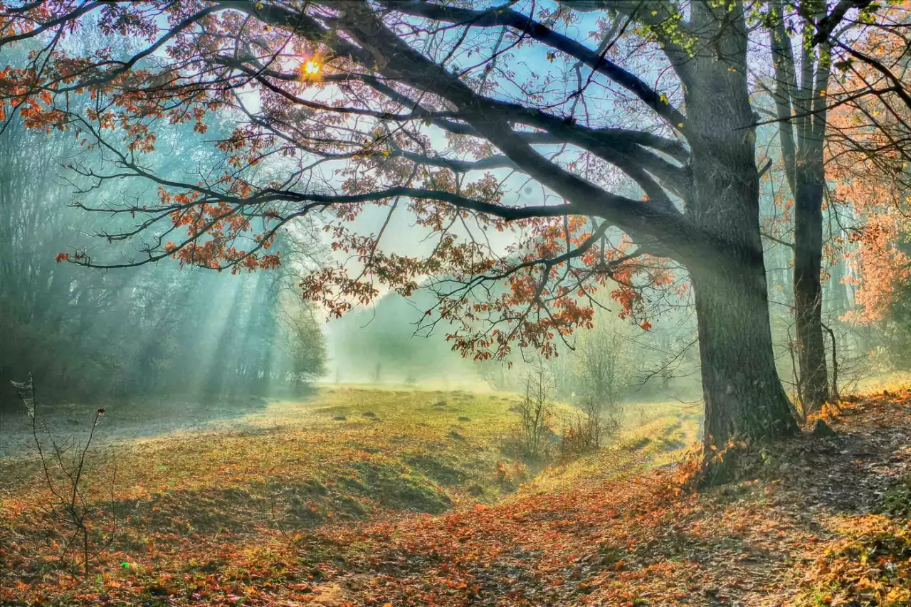 +25 градусқа дейін: қараша айында күн жылы болады