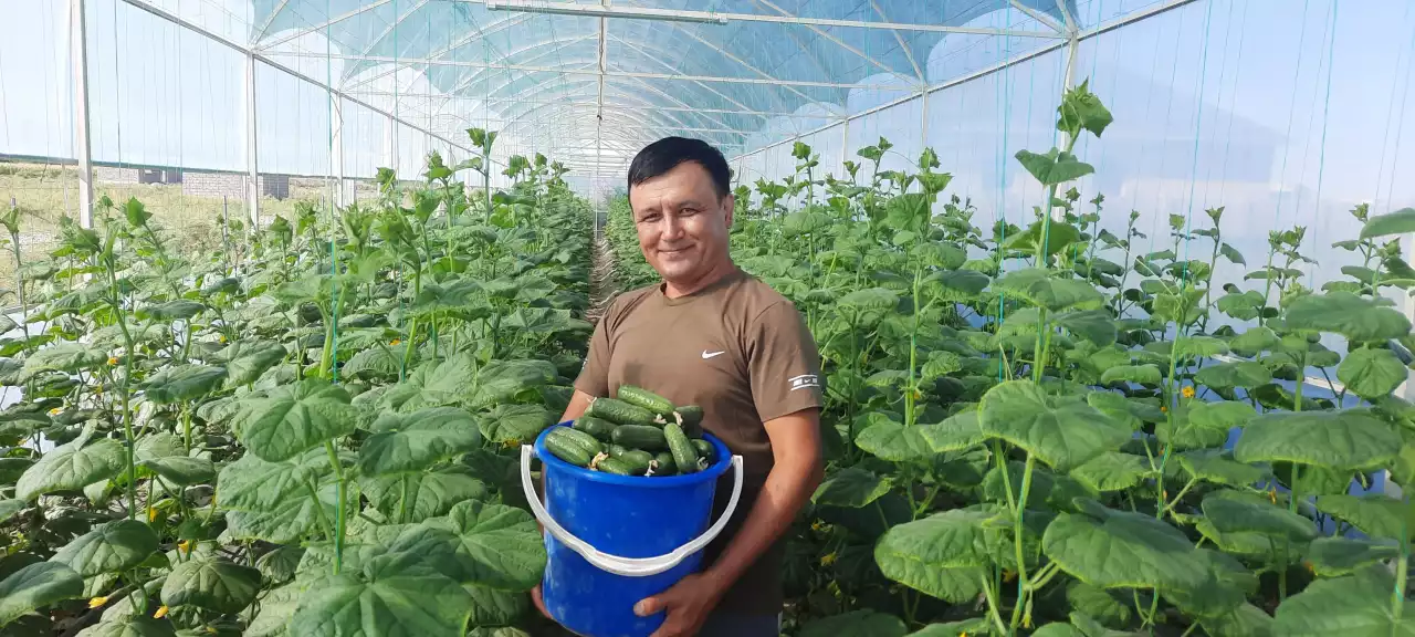 "Ауылда жұмыс жоқ" деген жалқаудың сөзі": Жылыжайды кәсіпке айналдырған диқан өз құпиясымен бөлісті