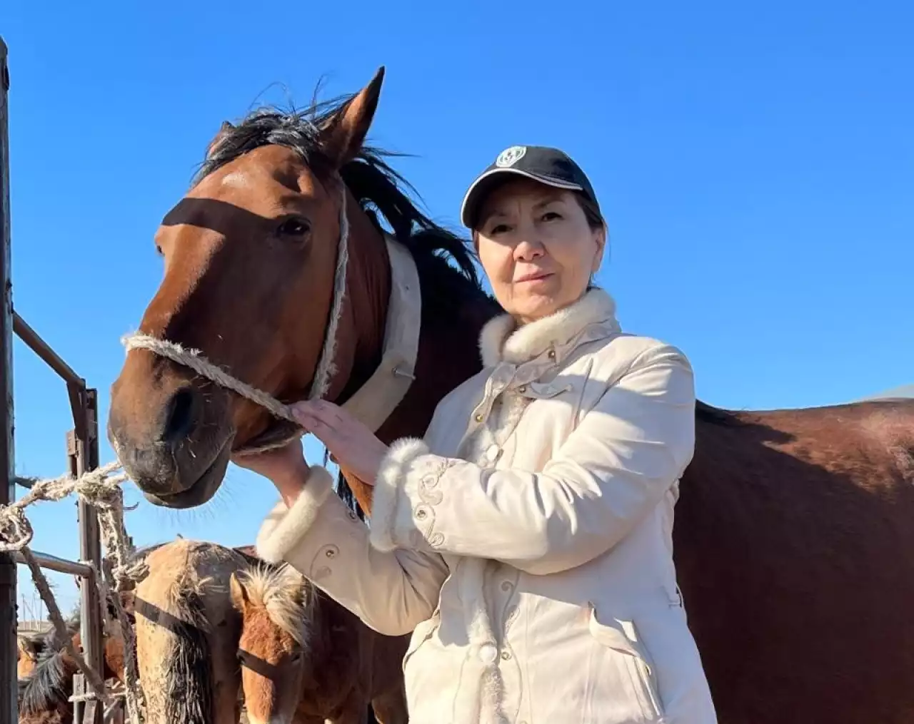 Көкшетаулық көпбалалы заңгер бүгінде мал бағып, сүт өнімінің жаңа ондаған түрін қазақстандықтарға ұсынып отыр