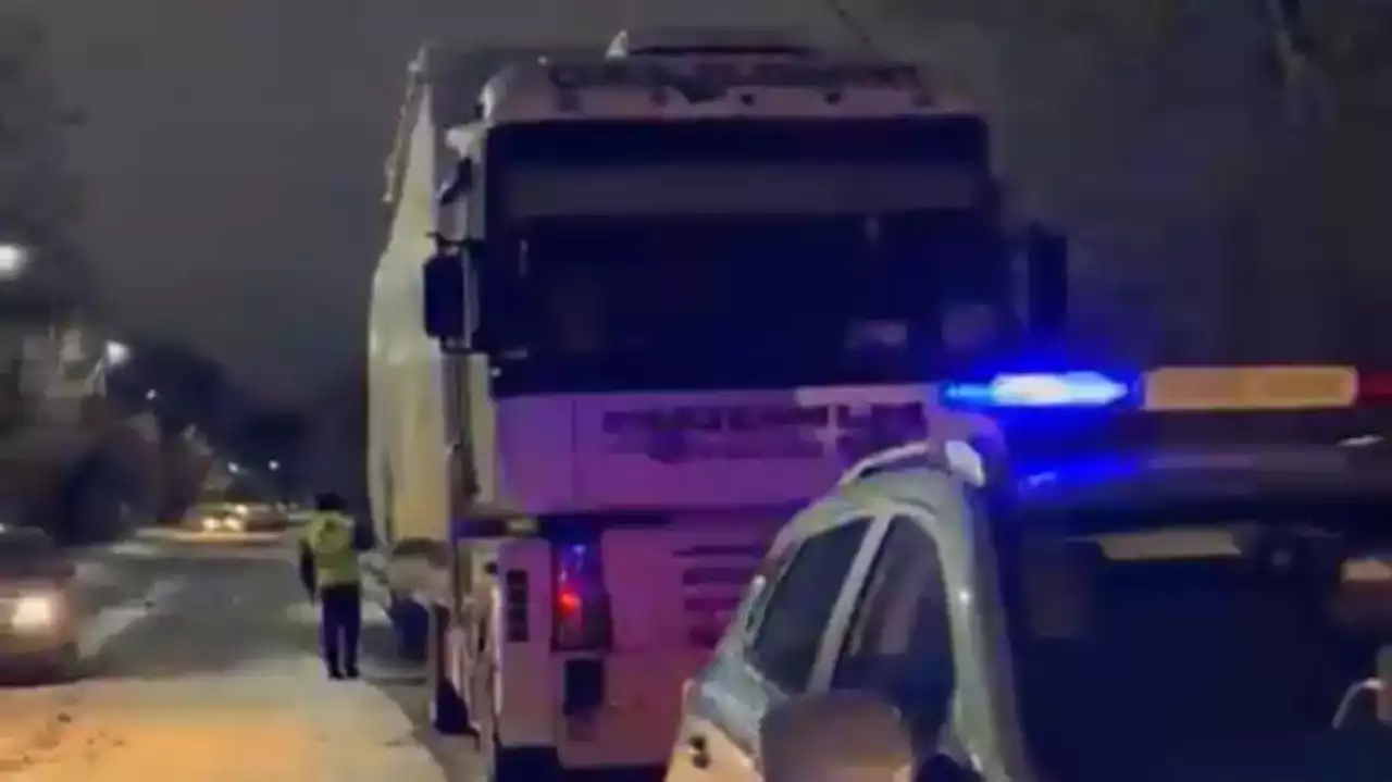 Теміртауда WhatsApp арқылы мал ұрланған (ВИДЕО)