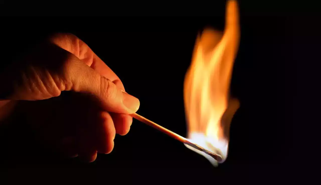 Алматы облысында туды өртеген 12 адам қамауға алынды