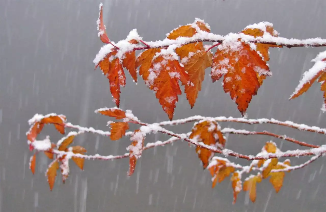 «Жаңбыр және қар»: 17 қарашаға арналған ауа райы болжамы