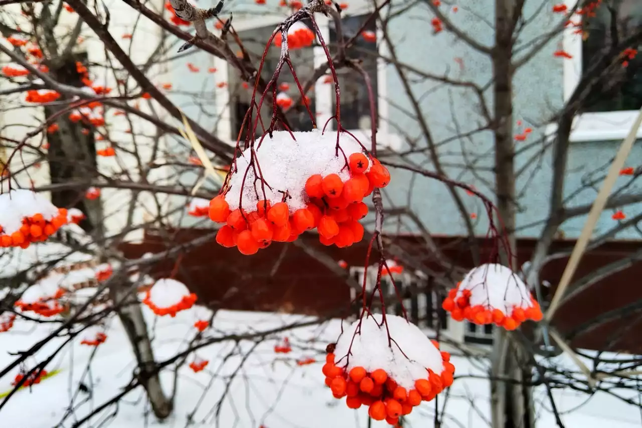 Алдағы үш күнде Қазақстанда аяз болады