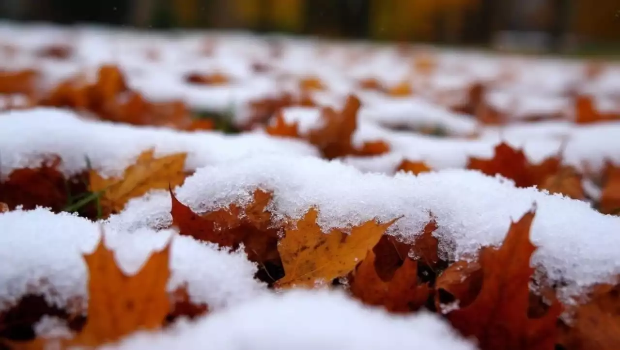 Қарлы боран мен көктайғақ: алдағы күндерге арналған ауа райы болжамы