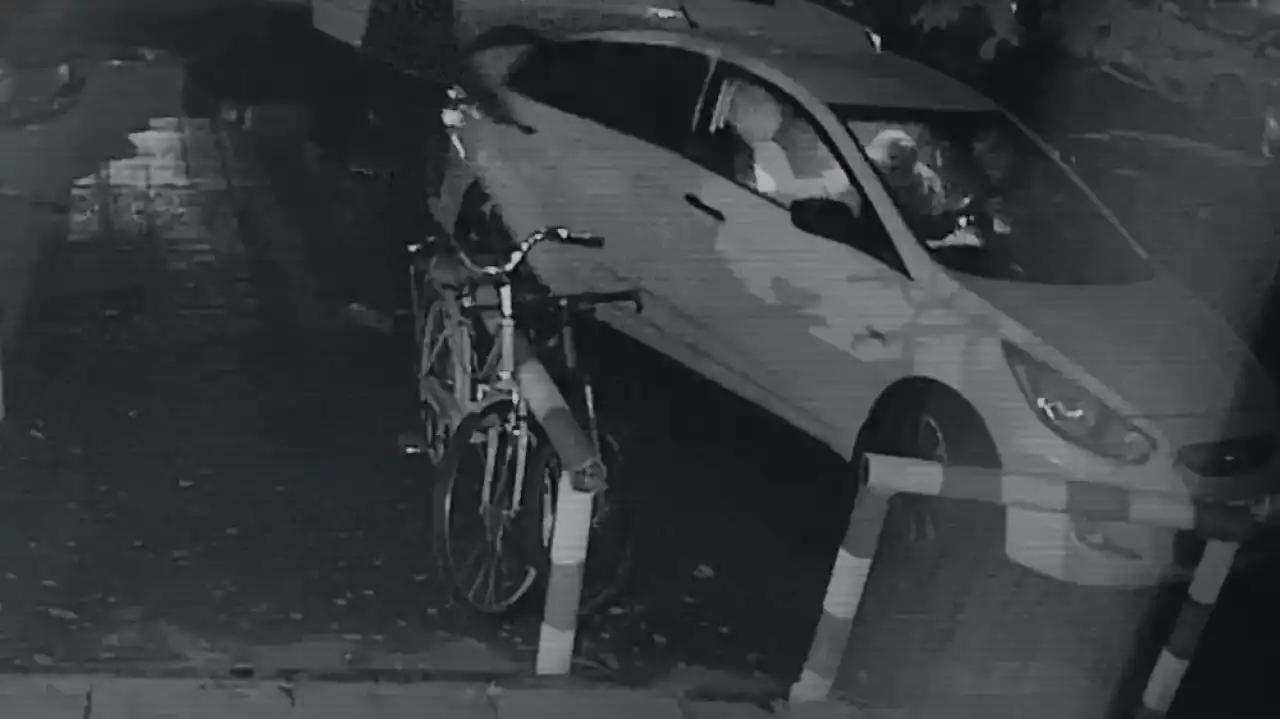 Яна Легкодимованың өлімі: ІІМ адам шошырлық видео жариялады