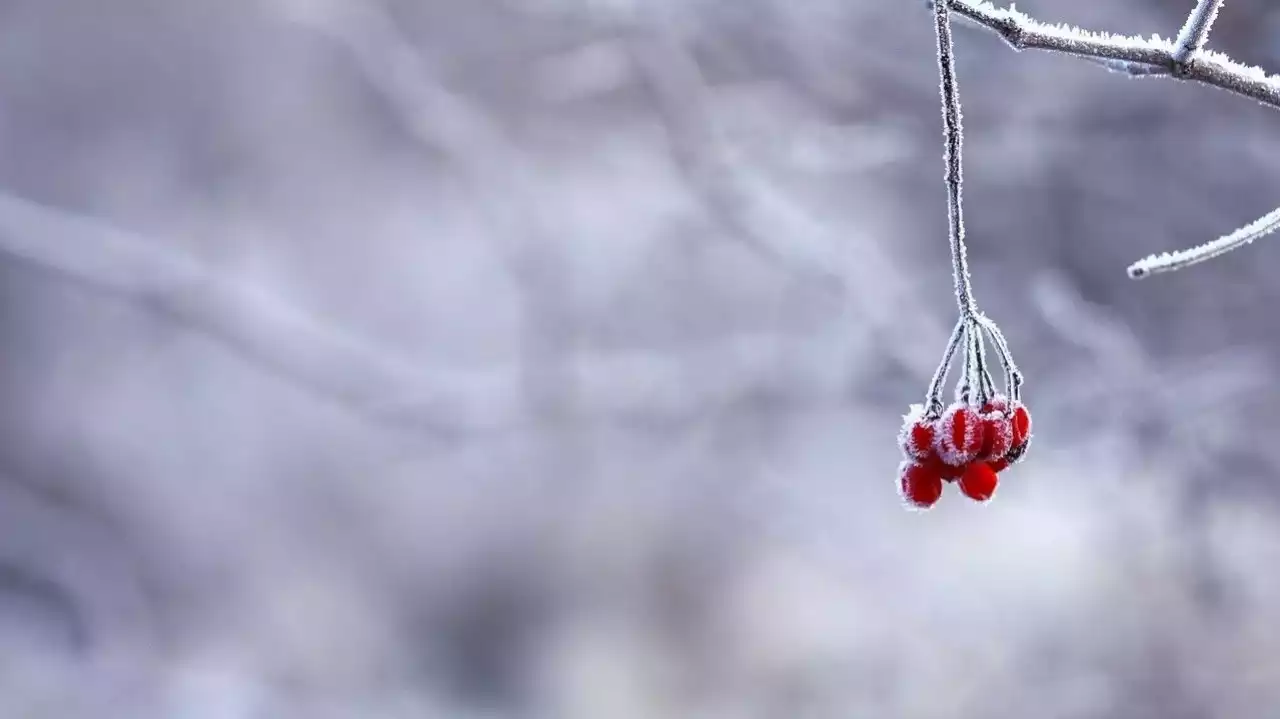 Қыстың алғашқы күні 1 желтоқсанға арналған ауа райы болжамы