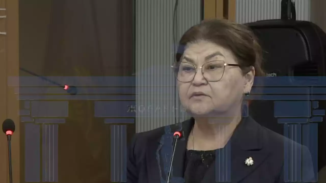 Бишімбаевтың анасының ісі: адвокат сотта 1 миллион доллар болғанды растайтын дәлелдер ұсынды