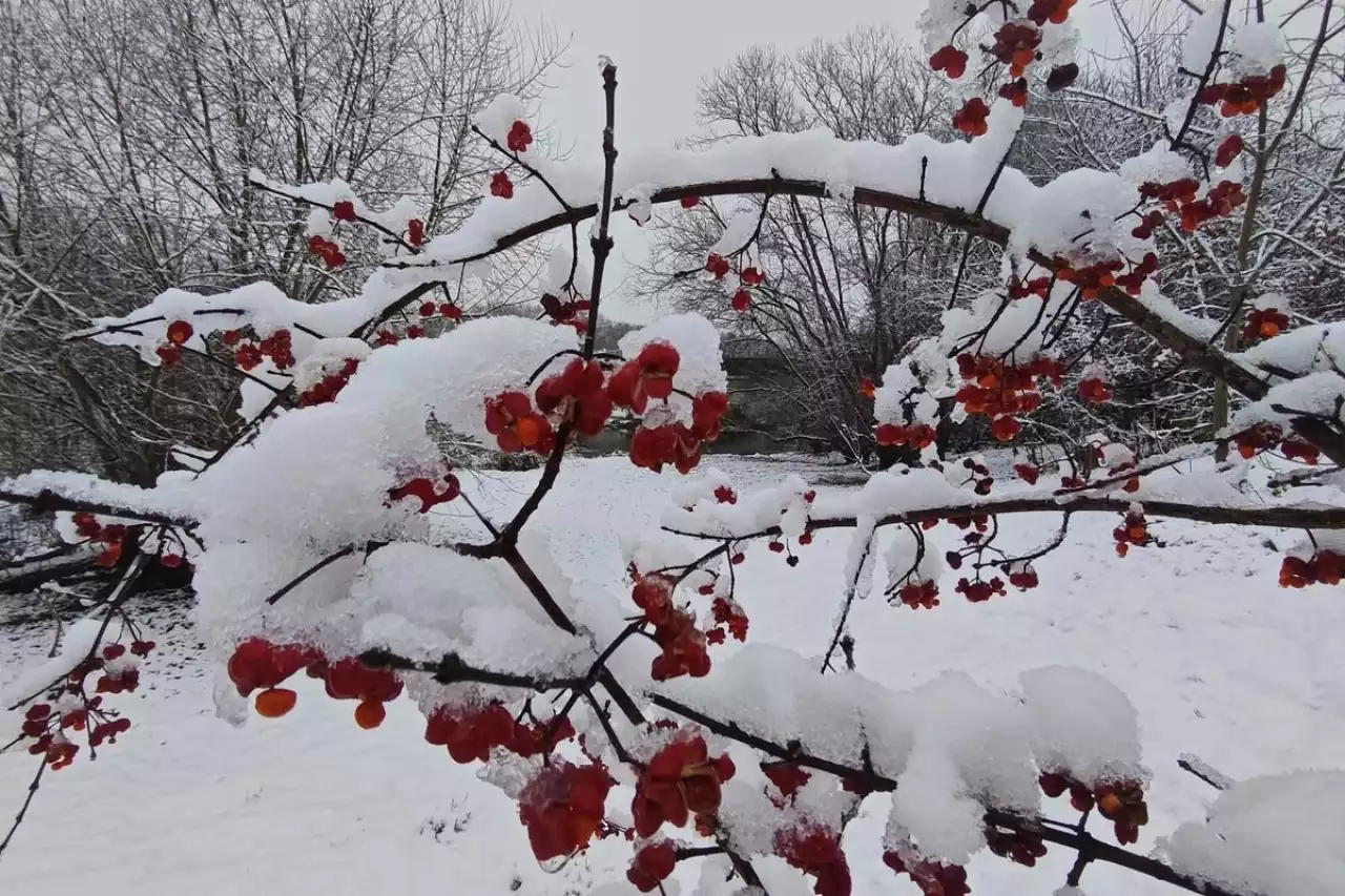 «Қар жауып, көктайғақ болады»: 15 желтоқсанға аналған ауа райы болжамы
