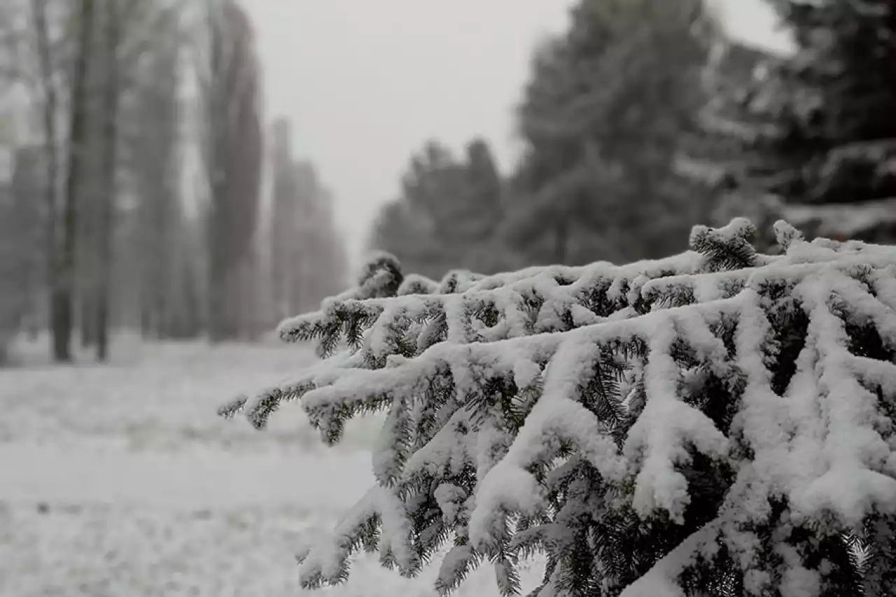 Елімізде алдағы үш күн аяз болады