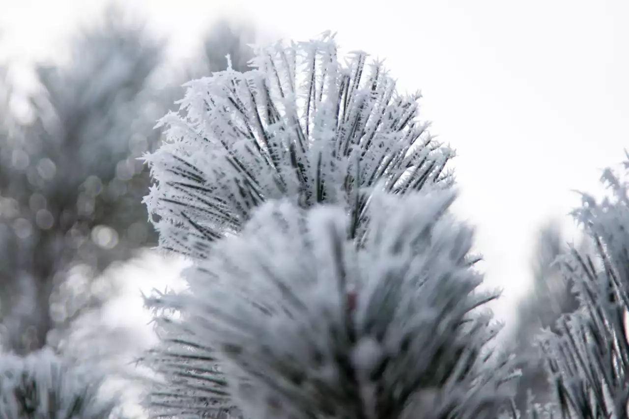 Аяз және көктайғақ: Қазақстанның бірнеше өңіріне ауа райына байланысты ескерту жарияланды