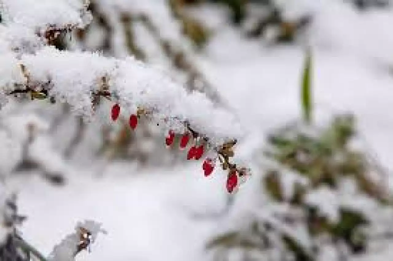 Қазақстанда қараша айында 54 жыл бұрынғы температура рекорды жаңарды