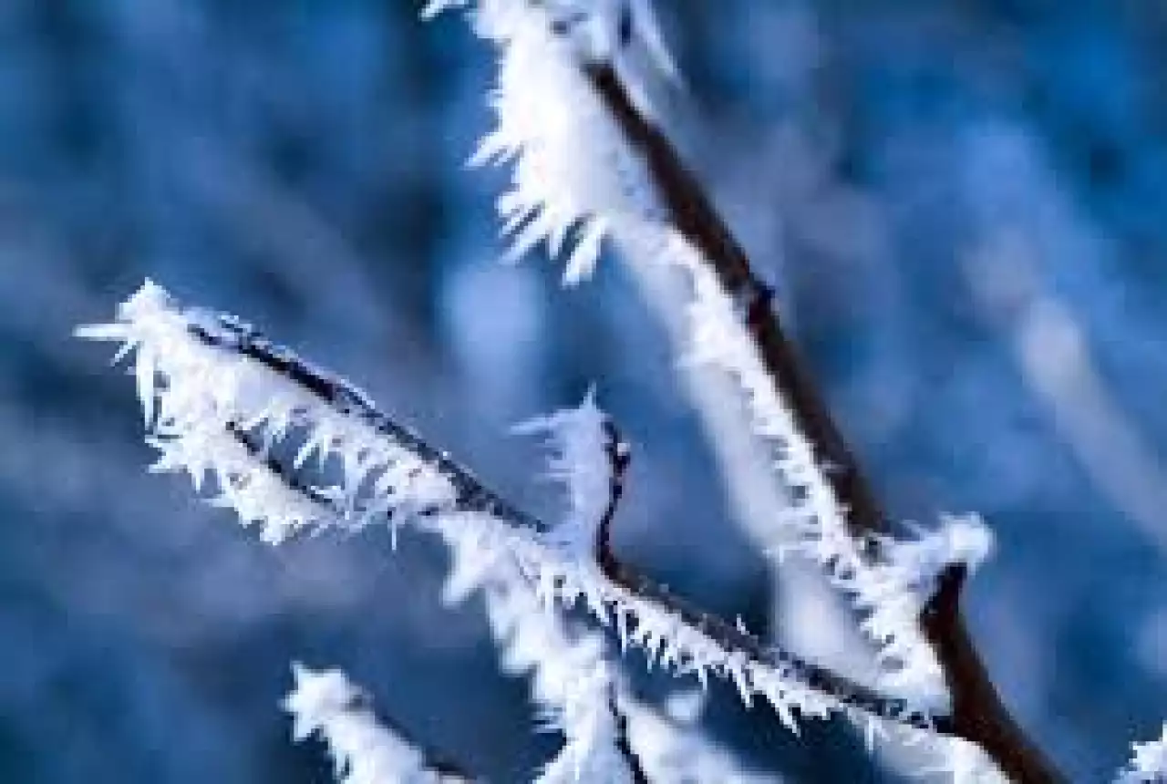 Астанада қатты аязға байланысты астаналық оқушылар мен студенттер қашықтан оқитын болды