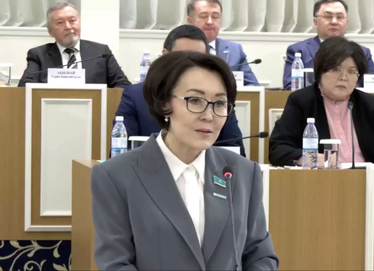 Үнзила Шапақ Конституция преамбуласын жаңғыртуды ұсынды