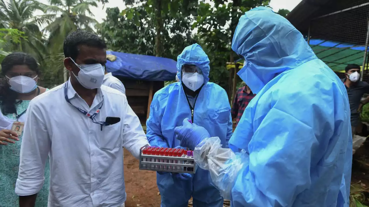 «Жоғары температура, бас ауруы»: Денсаулық сақтау министрлігі Нипах вирусына қатысты мәлімдеме жасады