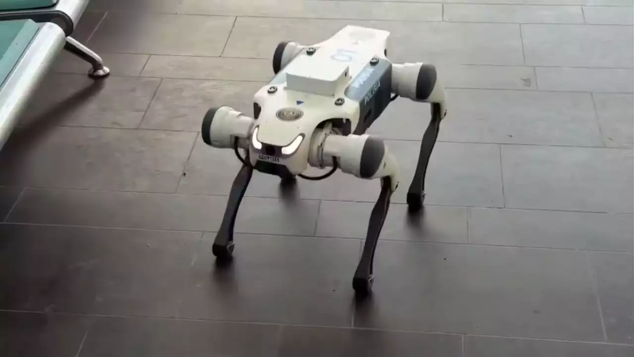 Астанада сауда үйлерінде ерекше робот-иттер жұмыстарын бастады (ВИДЕО)