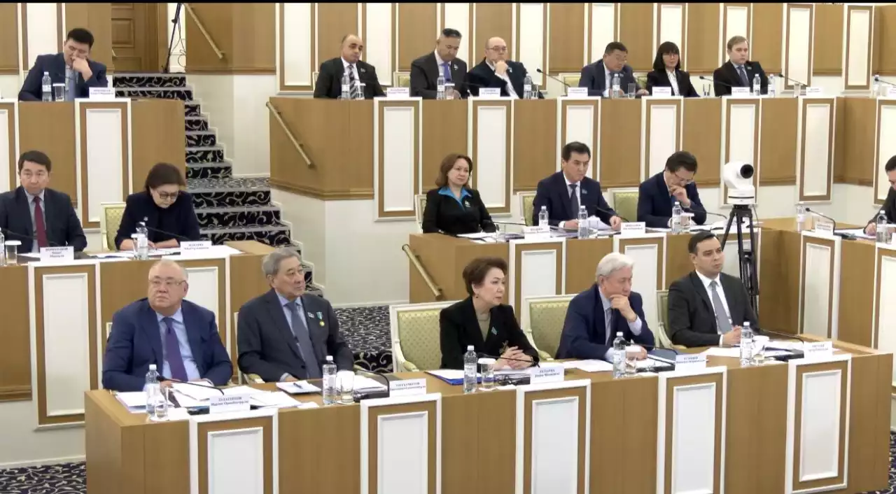 Конституцияда экологиялық жауапкершілікті бекіту ұсынылды