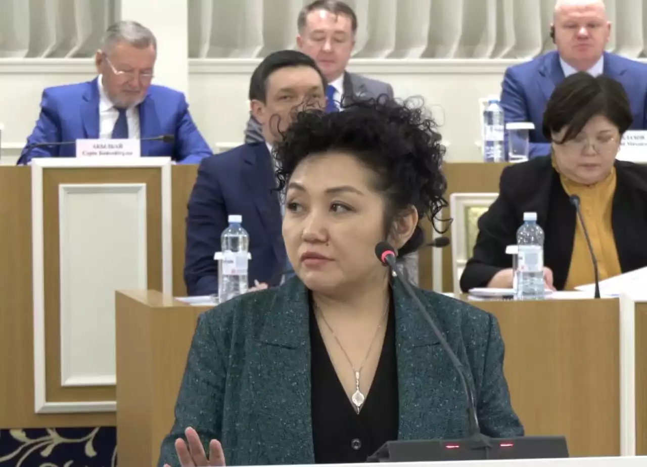 Жаңа Конституция сөз бостандығымен қатар шығармашылық еркіндікті де қорғайды – Қарлығаш Жаманқұлова