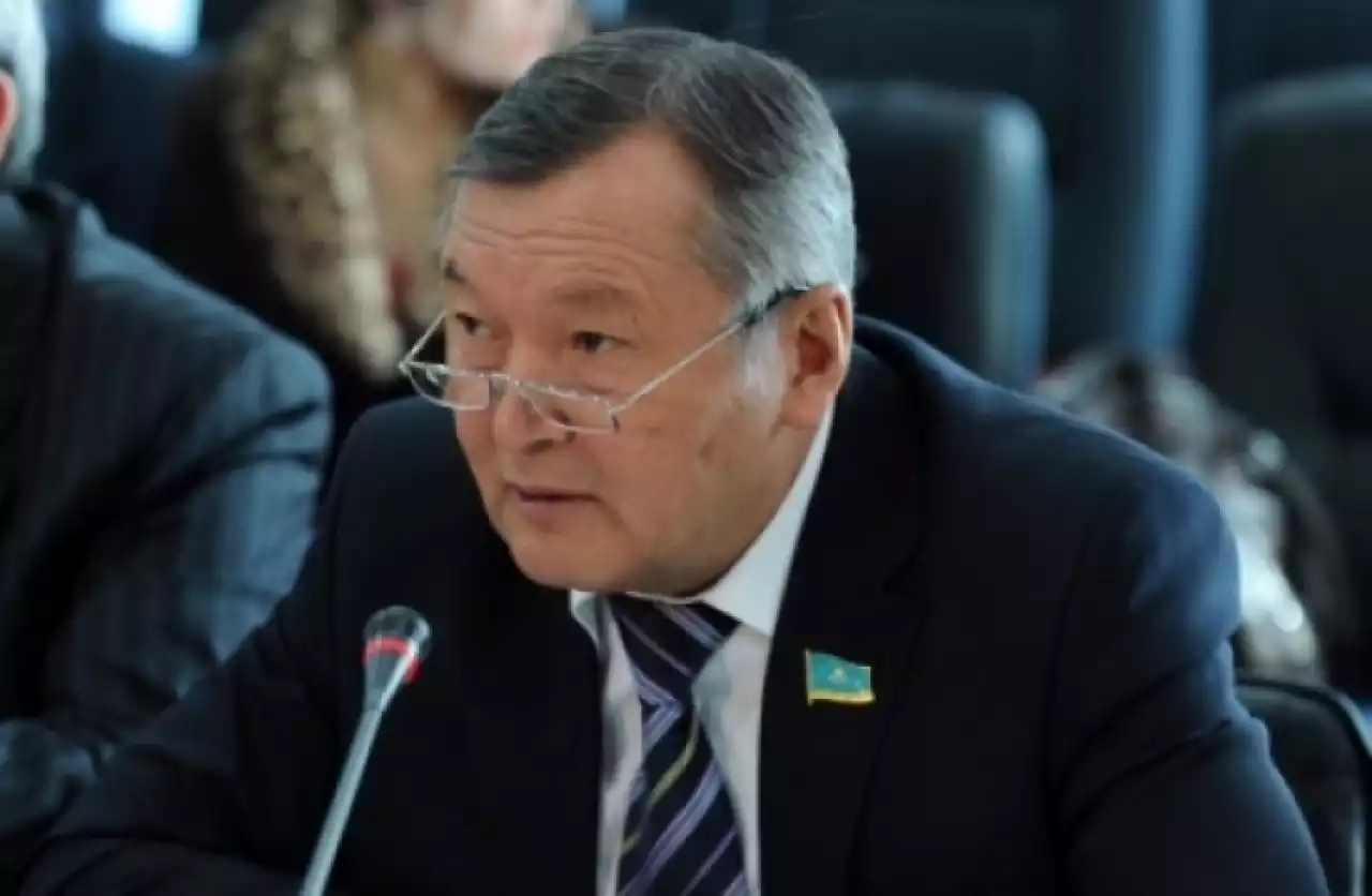 Белгілі заңгер Жаңа Конституция жобасын бүкілхалықтық референдумға шығару туралы ұсынысты қолдады