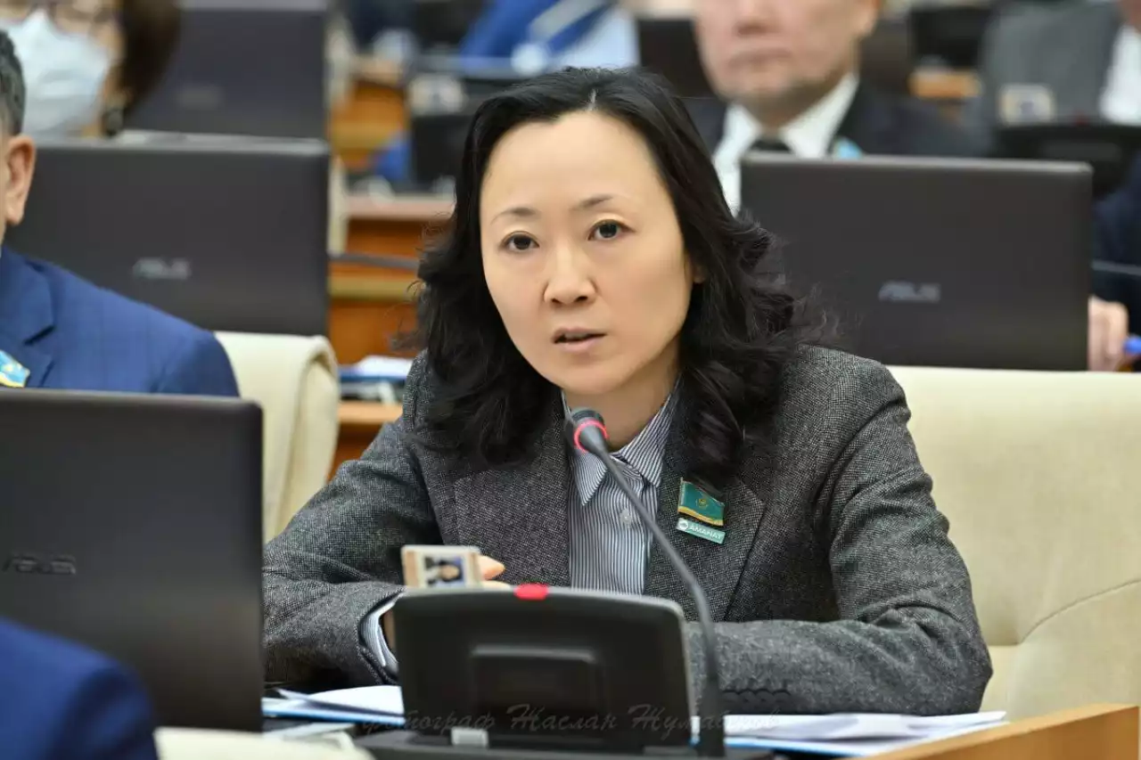 «Волонтерлік» ұғымын Конституцияда бекітуді ұсынылды