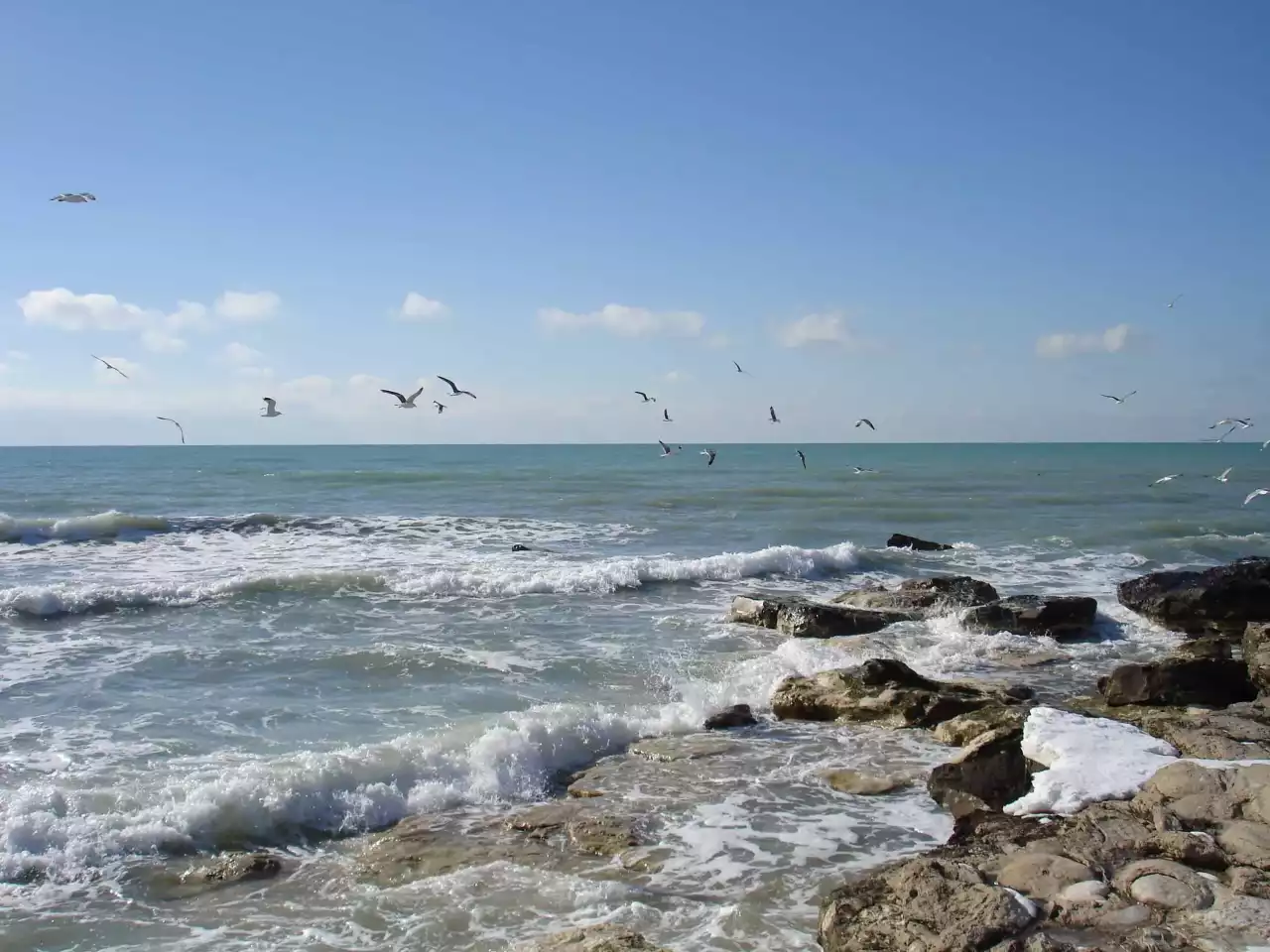 Каспий теңізінің экожүйесін сақтауға 1,1 млрд бөлінеді