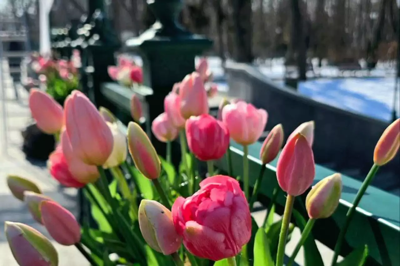 Қазақстанда 1 наурыздан бастап бірнеше жаңа заң күшіне енеді