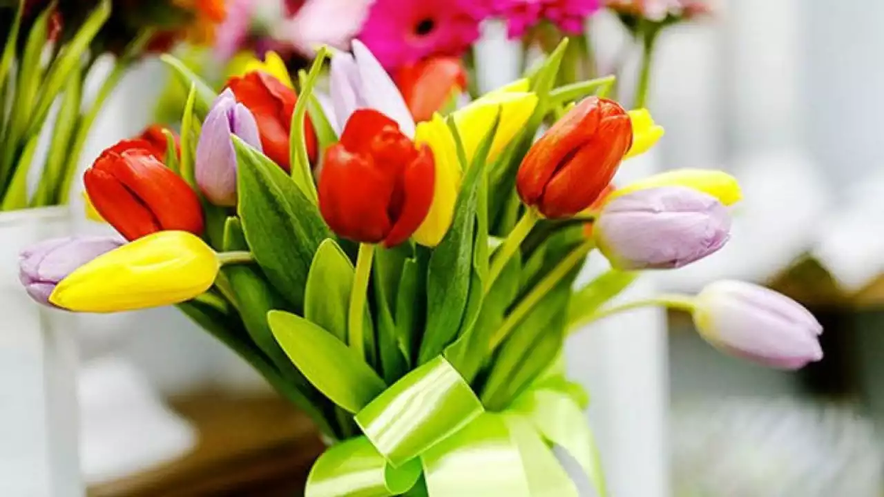 Астанада 8 наурыз мерекесіне орай әйелдерге бір реттік төлем беріледі