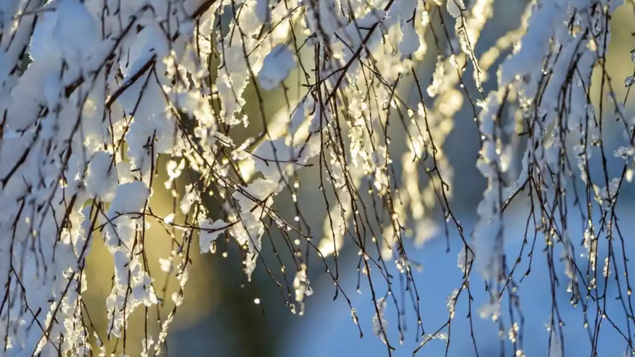 4 наурызда бірнеше өңірде қолайсыз ауа райына байланысты ескерту жасалды