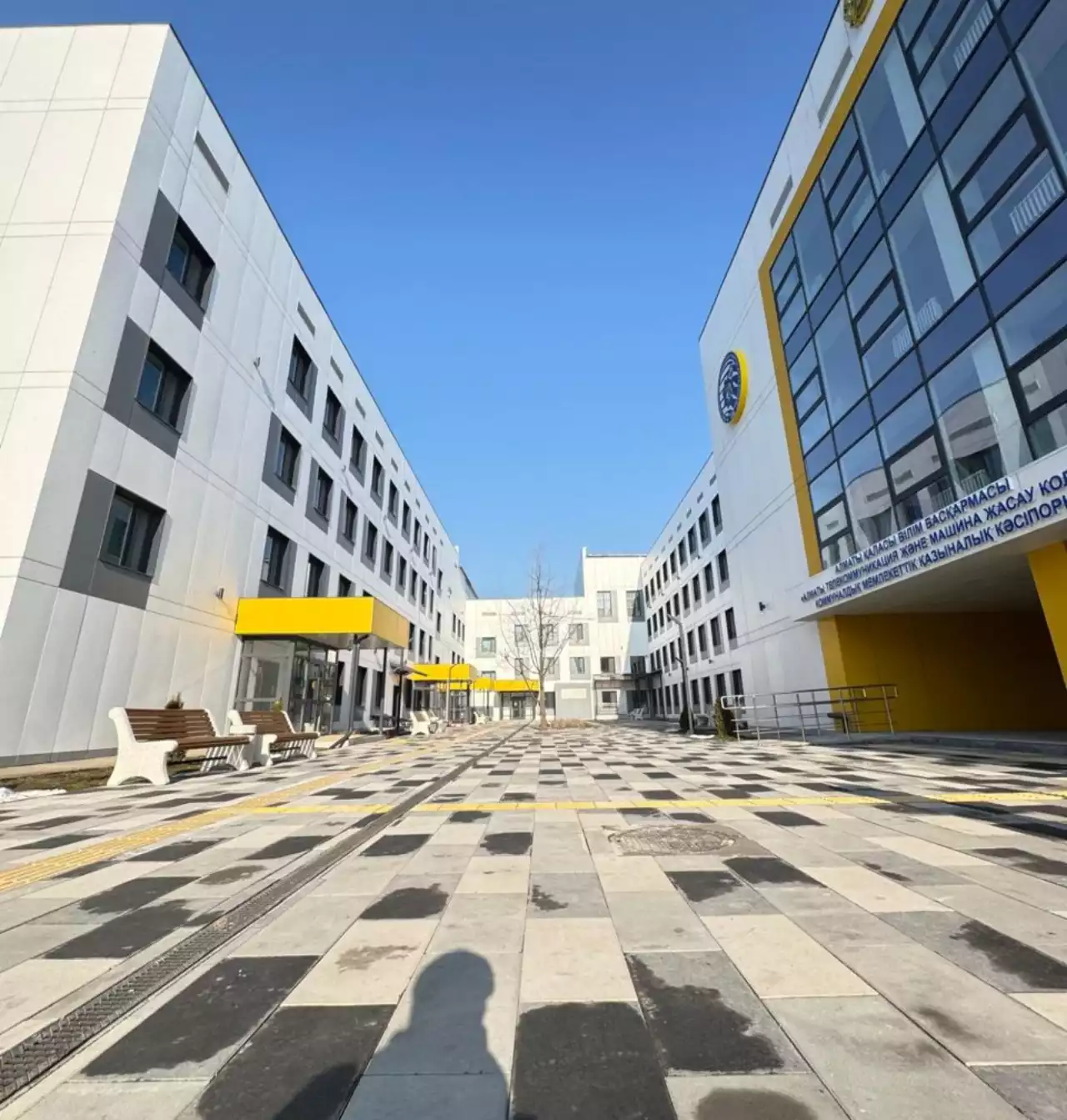 Алматыда колледж директоры мен іс жүргізуші арасындағы жанжалға Басқарма нүкте қойды