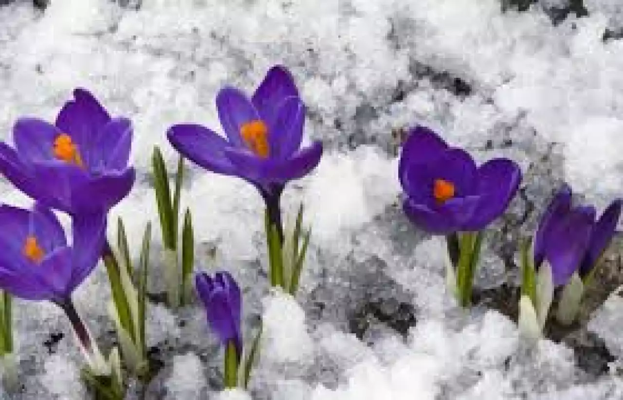 Қазақстанға алдағы күндері – 25 градусқа дейінгі аяқ келеді