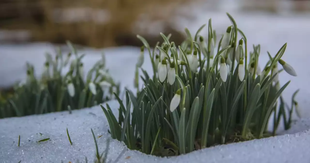 «Қар жауып, боран соғады»: еліміздің бірнеше өңіріне дауылды ескерту жарияланды