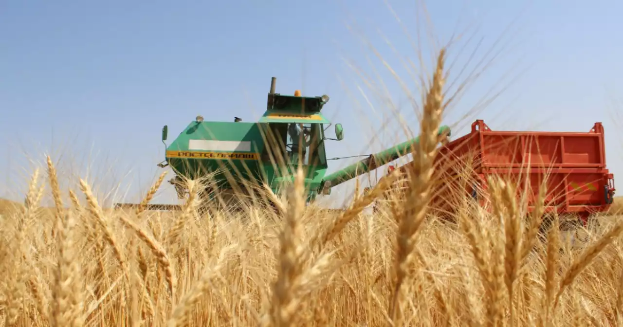 Агроөнеркәсіп кешені – ауыл шаруашылығы мен өнеркәсіпті біріктіретін стратегиялық сала