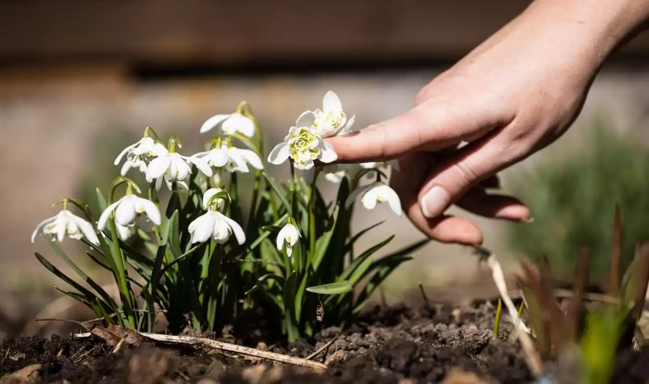 «+20 градусқа дейін күн жылынады»: алдағы күндері Қазақстанға нағыз көктем келеді