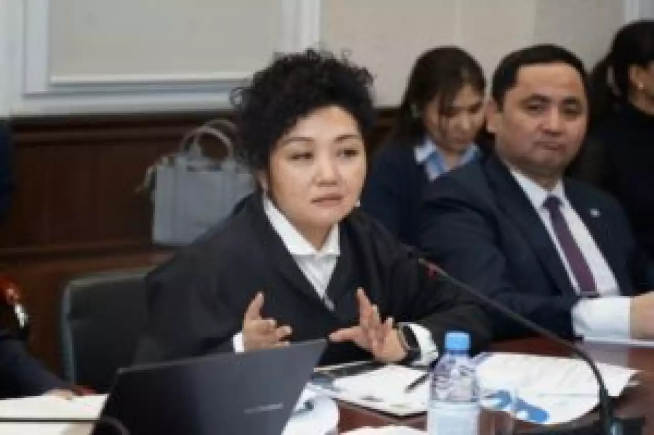 Жаңа Конституция цифрлық дәуірде адам құқықтарын қорғауды күшейтеді – «Әділ сөз» қорының президенті