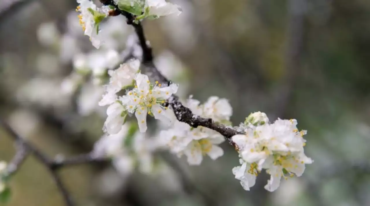 Қазақстанда ақпан айында ең жоғарғы температура тіркелді