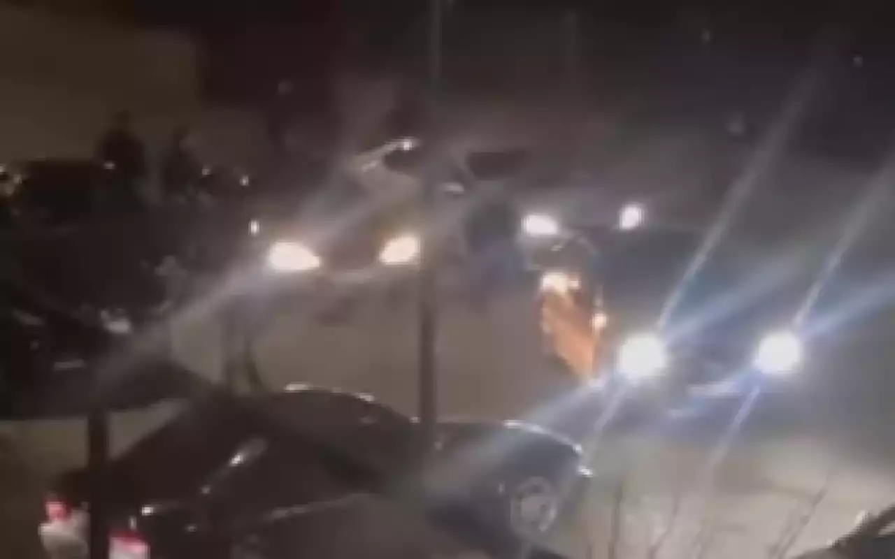 Алматы облысында төбелес болып, полиция қару қолданды (ВИДЕО)