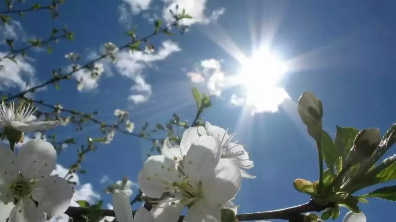 Сәуір айының алғашқы үш күнінде Астана мен Алматы қаласында ауа райы қандай болады?
