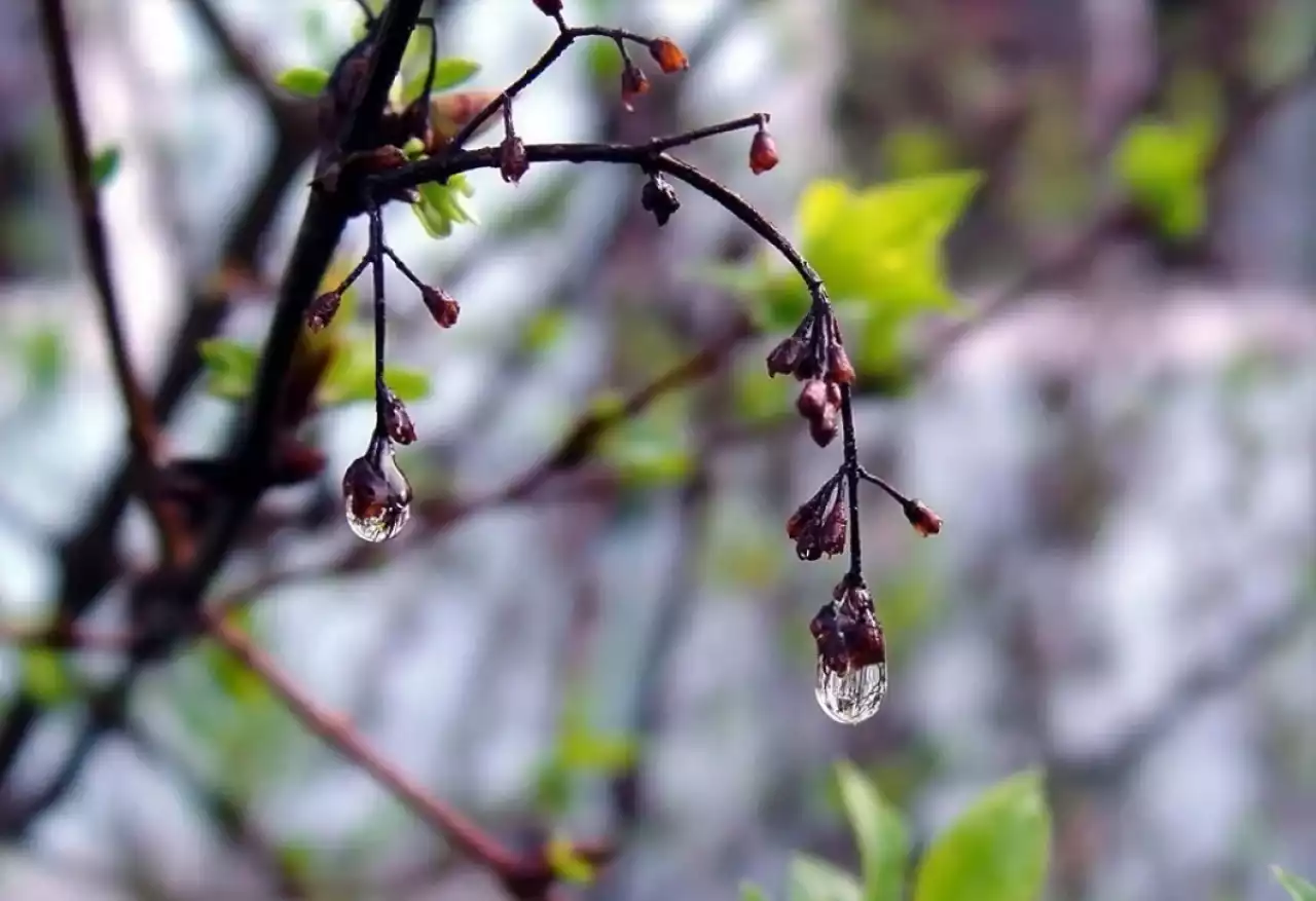 "- 20 градусқа дейін төмендейді": синоптиктер алдағы демалыс күндеріне арналған ауа райы болжамын ұсынды