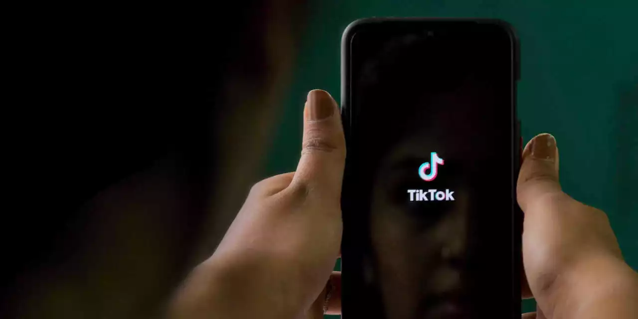 TikTok-қа видео жариялаған: Жамбыл облысында екі көрші соттасып қалды