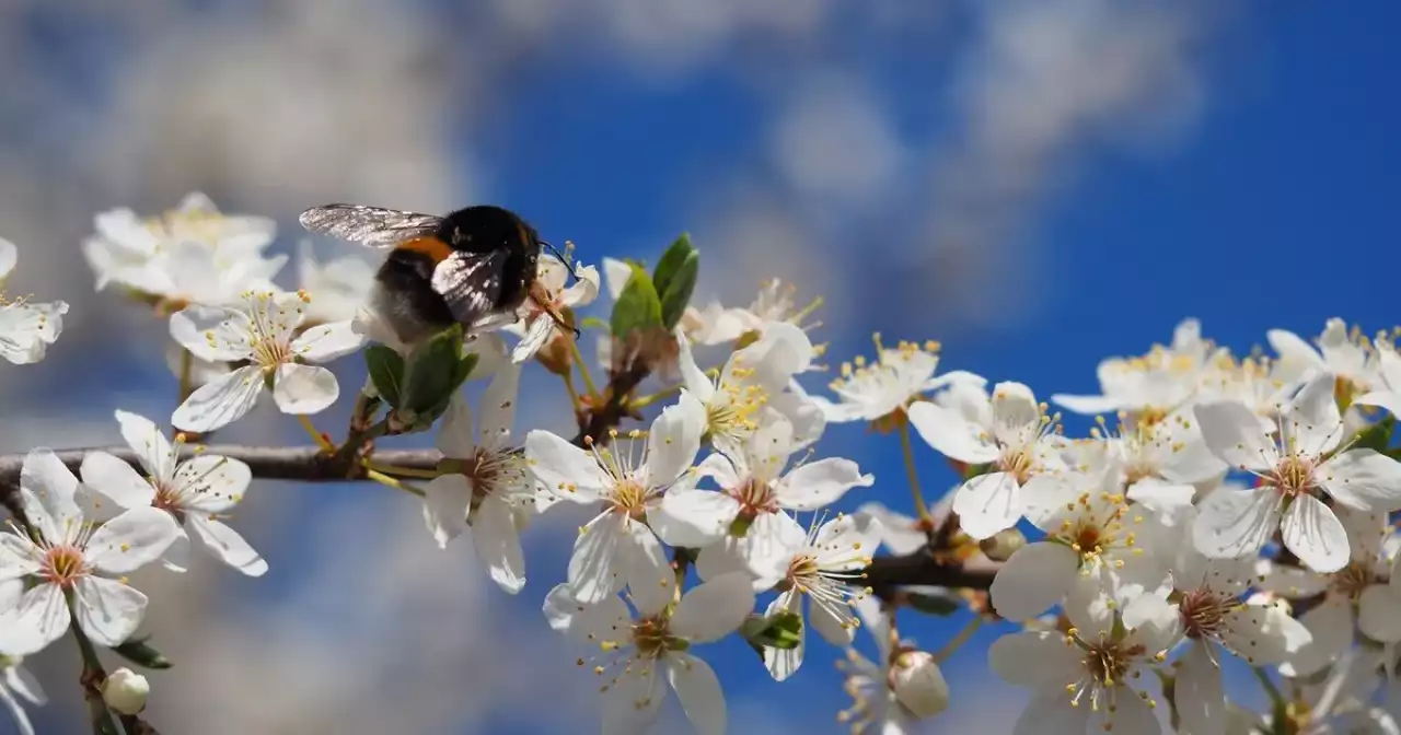 Мамыр айында қазақстандықтар 14 күн демалады