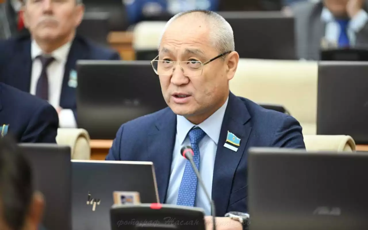 Елімізде кемінде 15 адамды ит қабады: депутат маңызды мәселе көтерді (Видео)