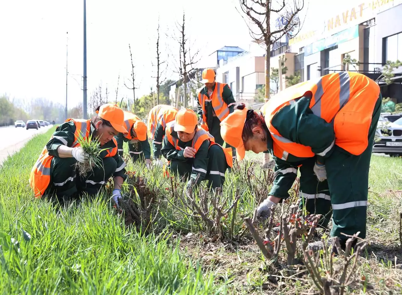«Таза Қазақстан»: Алматыда 2026 жылы 550 мыңнан астам жасыл желек егіледі