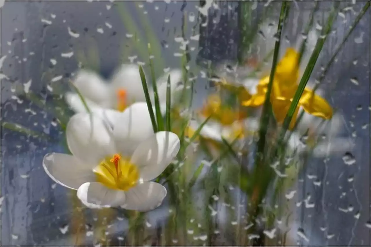 Жаңбыр, дауыл: 11 сәуірге арналған ауа райы болжамы