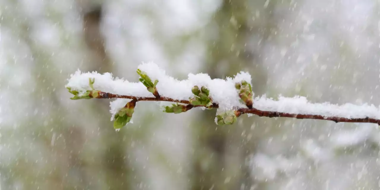 Қазақстанда қар жауып, -8 градусқа дейін аяз болады