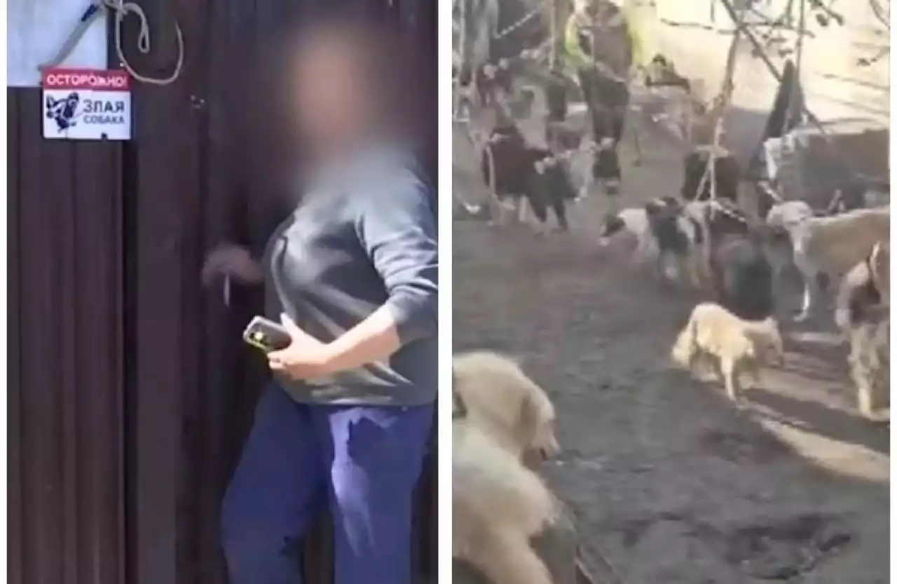 «Адам сияқты сыртқа шыға алмаймыз»: Қарағанды тұрғыны үйінің ауласын иттерге арналған баспана жасап алған