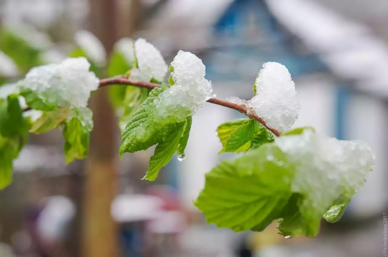 Солтүстікте қар жауды: 17 сәуірге ауа райы болжамы