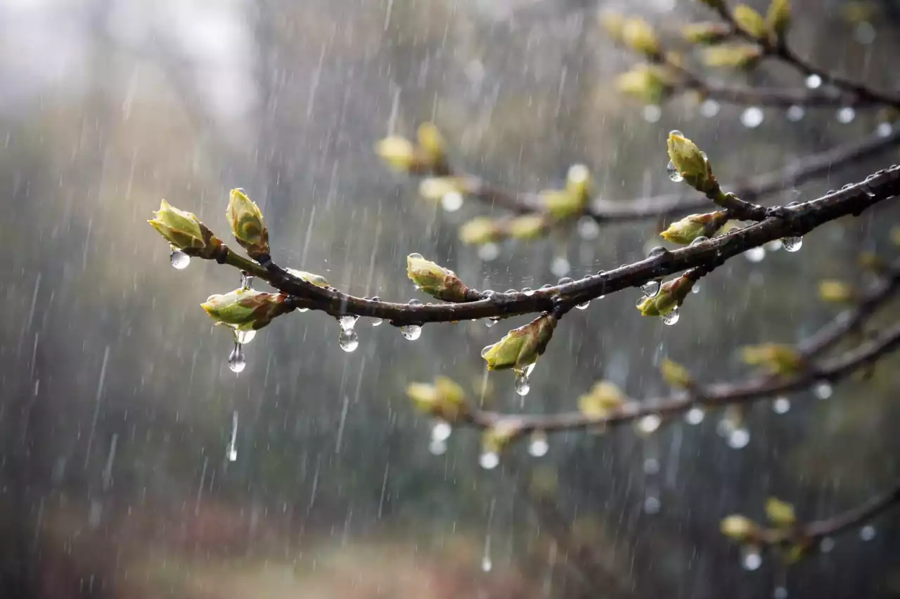 "Жауын-шашын, найзағай": 18-20 сәуірге арналған ауа райы болжамы